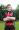 Lasse Jams